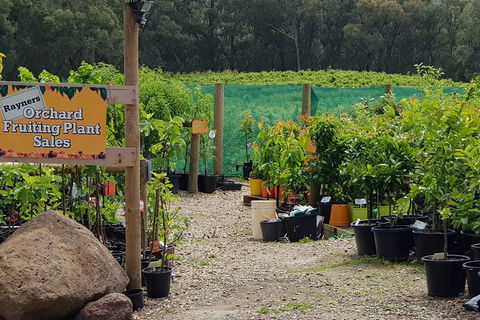 Yarra Valley Wineries And Rayners Orchard Tour From Melbourne - Newcastle Accommodation 0