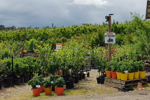 Yarra Valley Wineries And Rayners Orchard Tour From Melbourne - Newcastle Accommodation 22