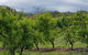 Yarra Valley Wineries And Rayners Orchard Tour From Melbourne - thumb 16