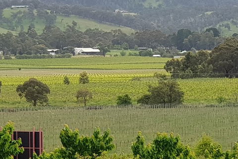 Yarra Valley Wineries And Rayners Orchard Tour From Melbourne - Newcastle Accommodation 2