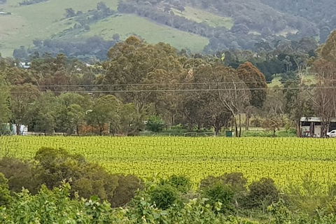 Day Tour Of Yarra Valley Puffing Billy And Rayners Orchard - Newcastle Accommodation 44
