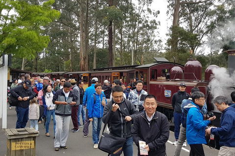 Day Tour Of Yarra Valley Puffing Billy And Rayners Orchard - Newcastle Accommodation 3