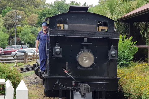 Day Tour Of Yarra Valley Puffing Billy And Rayners Orchard - Newcastle Accommodation 11