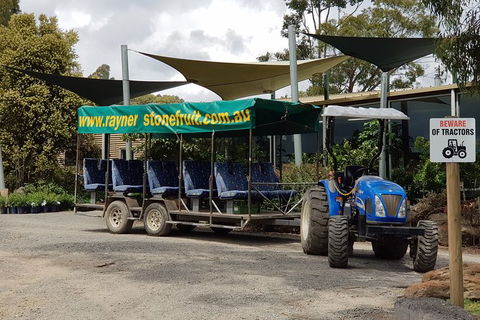 Day Tour Of Yarra Valley Puffing Billy And Rayners Orchard - Newcastle Accommodation 17
