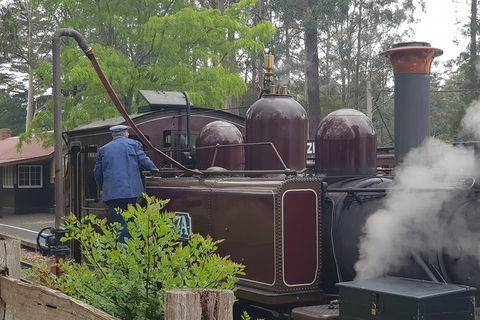 Day Tour Of Yarra Valley Puffing Billy And Rayners Orchard - Newcastle Accommodation 5