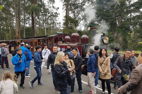 Day Tour Of Yarra Valley Puffing Billy And Rayners Orchard - Newcastle Accommodation 18