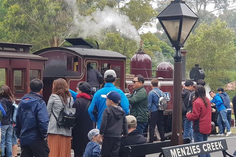 Day Tour Of Yarra Valley Puffing Billy And Rayners Orchard - Newcastle Accommodation 40