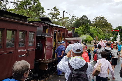Day Tour Of Yarra Valley Puffing Billy And Rayners Orchard - Newcastle Accommodation 23
