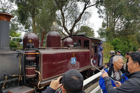 Day Tour Of Yarra Valley Puffing Billy And Rayners Orchard - Newcastle Accommodation 28