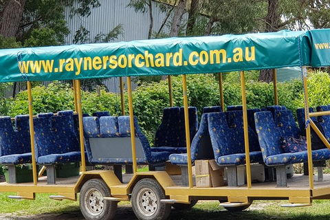 Day Tour Of Yarra Valley Puffing Billy And Rayners Orchard - Newcastle Accommodation 33