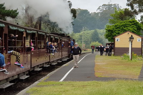 Day Tour Of Yarra Valley Puffing Billy And Rayners Orchard - Newcastle Accommodation 0