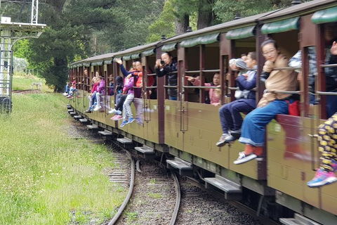 Day Tour Of Yarra Valley Puffing Billy And Rayners Orchard - Newcastle Accommodation 13