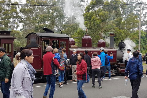 Day Tour Of Yarra Valley Puffing Billy And Rayners Orchard - Newcastle Accommodation 4