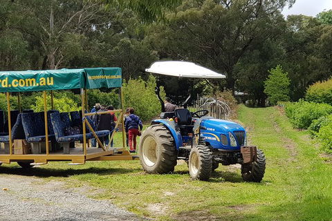 Day Tour Of Yarra Valley Puffing Billy And Rayners Orchard - Newcastle Accommodation 25