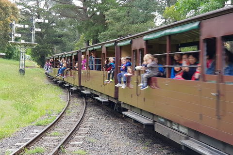 Day Tour Of Yarra Valley Puffing Billy And Rayners Orchard - Newcastle Accommodation 24