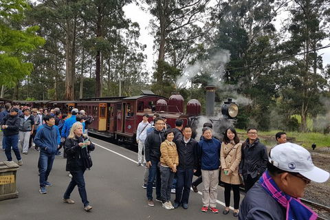 Day Tour Of Yarra Valley Puffing Billy And Rayners Orchard - Newcastle Accommodation 9