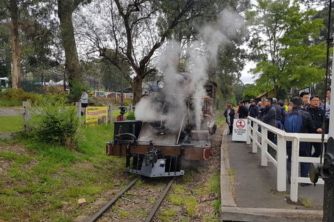 Day Tour Of Yarra Valley Puffing Billy And Rayners Orchard - Newcastle Accommodation 43