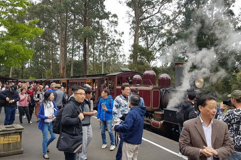 Day Tour Of Yarra Valley Puffing Billy And Rayners Orchard - Newcastle Accommodation 12