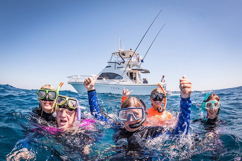 Life On Ningaloo Swimming Tour In Exmouth - Newcastle Accommodation 4