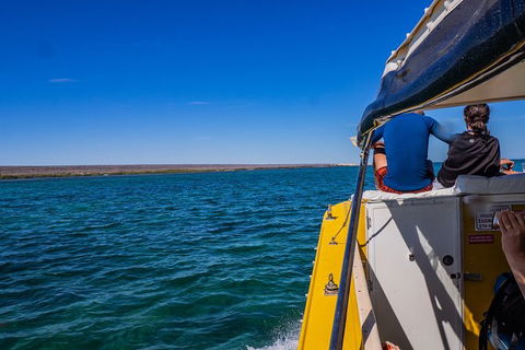 Ningaloo Immersion Private Charter - New Castle Tourism 0