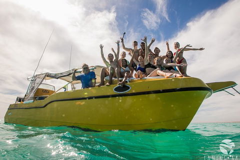 Ningaloo Immersion Private Charter - New Castle Tourism 9