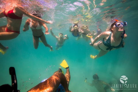 Ningaloo Immersion Private Charter - New Castle Tourism 8
