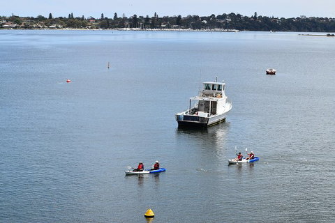 Cliffs And Caves Kayak Tour In Swan River - Newcastle Accommodation 5