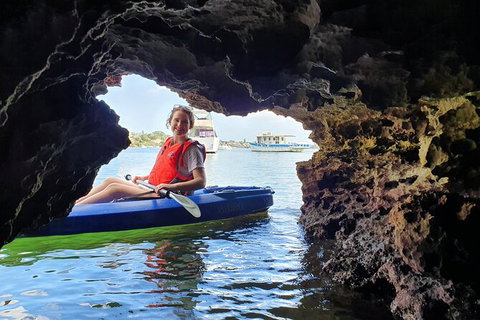 Cliffs And Caves Kayak Tour In Swan River - Newcastle Accommodation 3