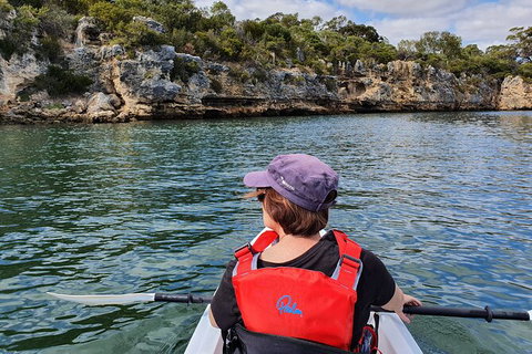 Cliffs And Caves Kayak Tour In Swan River - Newcastle Accommodation 1
