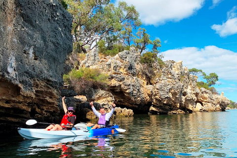 Cliffs And Caves Kayak Tour In Swan River - Newcastle Accommodation 0