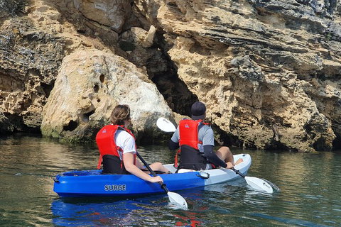 Cliffs And Caves Kayak Tour In Swan River - Newcastle Accommodation 4