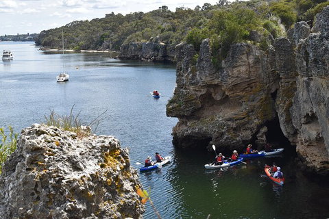 Cliffs And Caves Kayak Tour In Swan River - Newcastle Accommodation 2