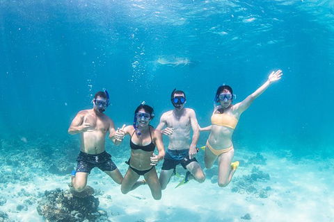 Full-Day Whale Sharks Swimming Experience On Ningaloo Reef - New Castle Tourism 5
