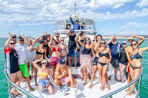 Full-Day Whale Sharks Swimming Experience On Ningaloo Reef - New Castle Tourism 1