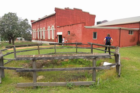 New Norcia And Countryside Tour - New Castle Tourism 3