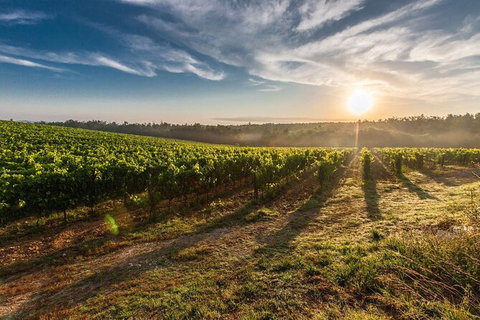 Perth To Margaret River Wine Tour - 2 Day Premium Boutique Wine Tour Experience - Newcastle Accommodation 0
