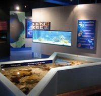 Marine and Freshwater Discovery Centre - New Castle Tourism