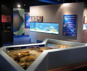 Marine And Freshwater Discovery Centre - New Castle Tourism 0