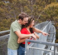 Valley of the Giants Tree Top Walk - Newcastle Accommodation