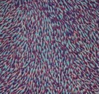 The Gate Gallery - Wollombi