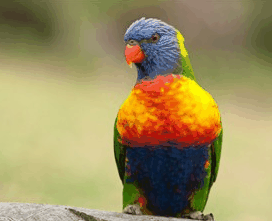 Booderee National Park - New Castle Tourism 1
