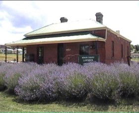 Lavender House In Railway Park - Newcastle Accommodation 0