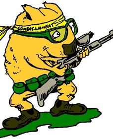 Skirmish Down Under - Newcastle Accommodation 0