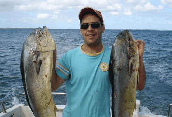Jervis Bay Fishing And Charters - Newcastle Accommodation 0