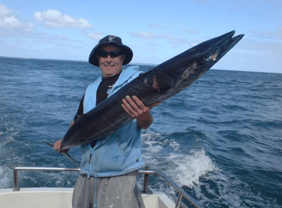 Jervis Bay Fishing And Charters - Newcastle Accommodation 4