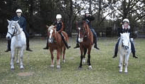 Valhalla Horse Riding - Newcastle Accommodation 1