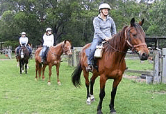 Valhalla Horse Riding - Newcastle Accommodation 2