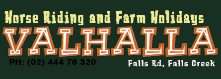 Valhalla Horse Riding - Newcastle Accommodation 4