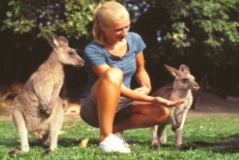 Jungle Tours And Trekking - Newcastle Accommodation 1