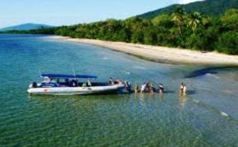 Cape Tribulation QLD New Castle Tourism